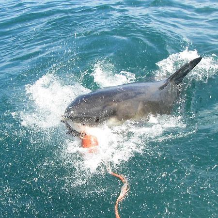 Valentines Hermanus Bagian luar foto